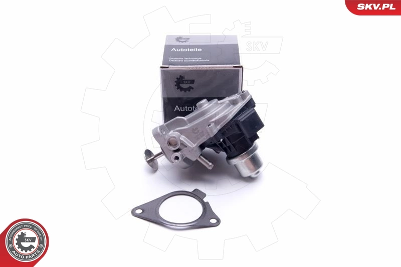 EGR Valve